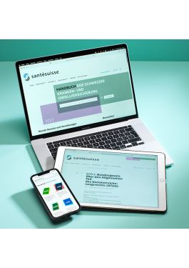 Handbuch Jahresabo (digital)